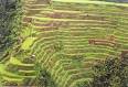 banaue rice terraces - places