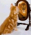 Cat - Believe In Your Self