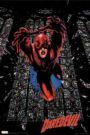 Daredevil - Fate deals young orphan Matt Murdock a strange hand when he is doused with hazardous waste. The accident leaves Matt blind but also gives him a heightened 'radar sense' that allows him to 'see' far better than any man. Years later Murdock has grown into a man and becomes a respected criminal attorney. But after he's done his 'day job' Matt takes on a secret identity as 'The Man Without Fear,' Daredevil, the masked avenger that patrols the neighborhood of Hell's Kitchen and New York City to combat the injustice that he cannot tackle in the courtroom.