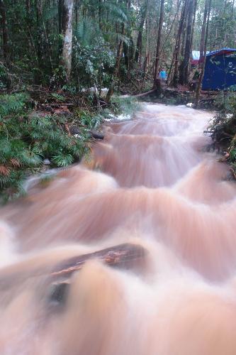 Water - My father take this foto at Maliau Basin