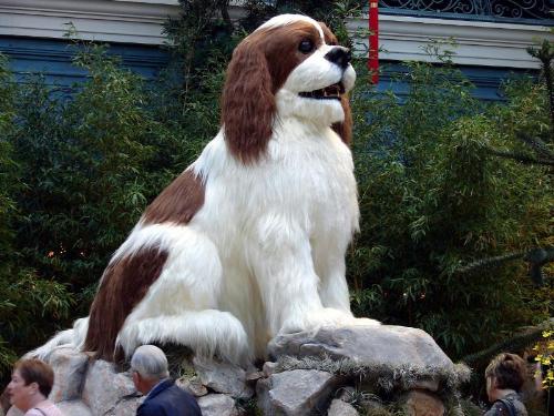 Big Dog inside the Bellagio  - Big Dog inside the Bellagio