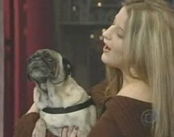 Dog Says I Love You - ha h a this dog says I love you Dog Says I Love You - ha h a this dog says I love you