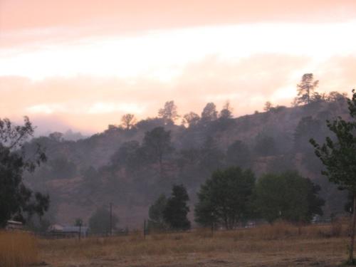 fog - fog rolling in