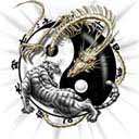 yin yang - two dragons represents the balance between yin and yang