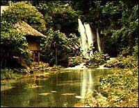 Philippines  - Philippines