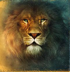 Aslan - Here is a pic of Aslan from Narnia.