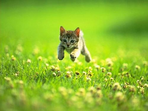 Ohh cutei - im soo happy.. im jumping high..heehee