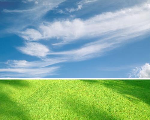 grass and sky - grass and sky