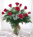 BEAUTIFUL ROSE - ROSE OF LOVE