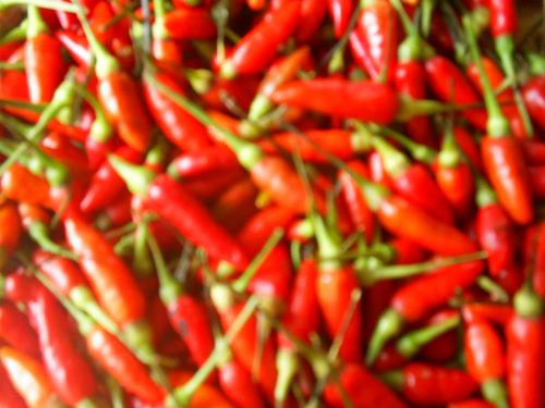 Do you like spicy food -  Does anyone like spicy food here, please tell me what spicy food you like.    make money from your photos : http://www.fotolia.com/partner/200032