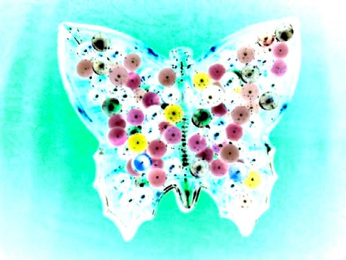do you like butterfly - Do you enjoy looking at the butterfly,im always amazed as to how butterfly develop different colors, can anyone tell me their views?   Make money from your photos http://www.fotolia.com/partner/200032