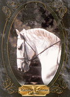 horse - painting