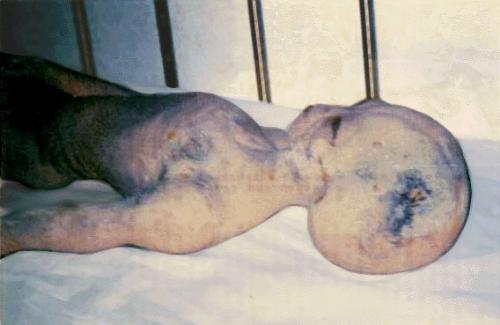 roswell alien photo - a picture of a supposed alien from roswell.  if it is real or fake remains to be proven.  Hollywood can make anything look real on the other hand.