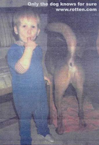 only the dog knows...:P - hahahaha, no one knows except the dog or the kid, what happened seconds before this hilarious image was captured...i doubt that the kid did it...what do U think