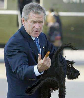 bush and his funny ways - cant figure out what bush was trying out here, i don't think he was looking for oil....or was he ??!!