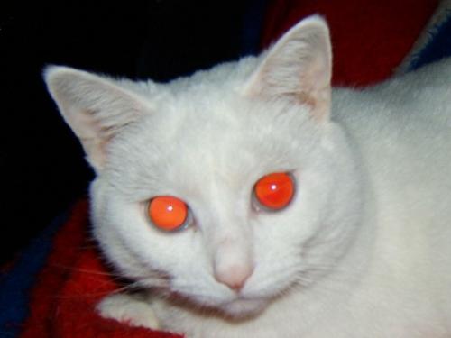 wont you get Afraid - Eyes to Gaze
