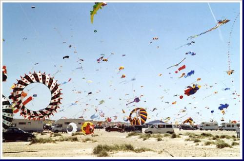 kite flying - festival of kite
