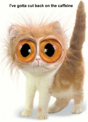 Coffee and too much of it - Obvously too much of a good thing is actually a bad thing!!!