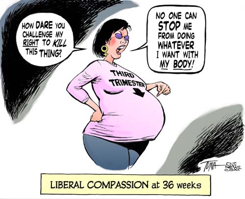 abortion - abortion 