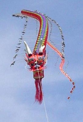 beautiful kite - beautiful kite