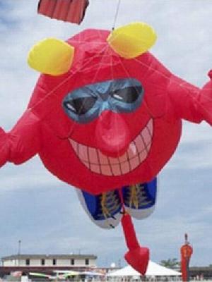 beautiful kite - beautiful kite