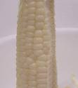 corn on the cob - corn on the cob