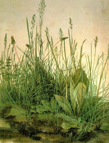 durer - he is a genius!!!