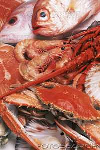 YUMMY!!! - seafoods