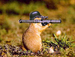war - war