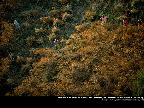fields - These are fields on foothills of jodhpur,Rajisthan,India.