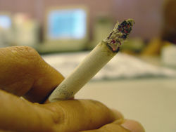 cigarette  - cigarette kills younger, plz try to avoid .
