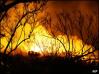 Bushfires in Victoria, Australia - Bushfires