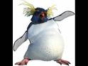 happy feet - happy feet