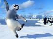 happy feet - happy feet