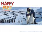 happy feet - happy feet