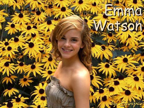 emma - emma