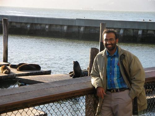 San Francisco sea lions - Watching sea lions in the bay area.