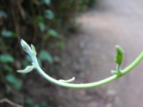 nature - i shot it!