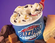 Blizzard - Dairy Queen Blizzard - my favorite ice cream!