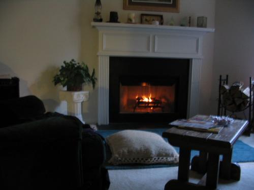 Living Room - Gold in the living room.