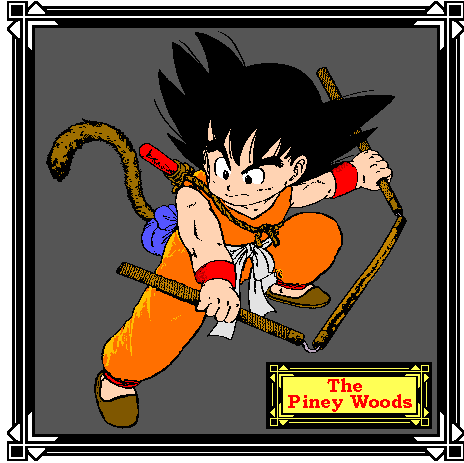 goku - a true fighter is a born fighter