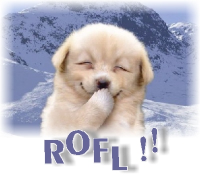 a little puppy laughter - rofl