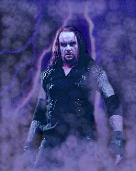 The undertaker - undertaker