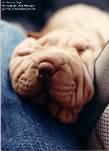 one ugly sleeper! - sleeping