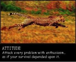 attitute - one should have the right attitute