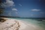 Tropical - TropicalTropical