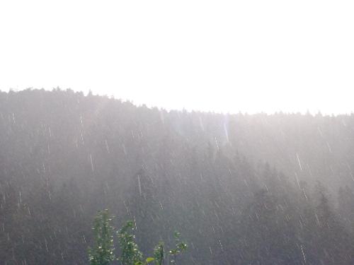 Tried to get the rain - I tried to get this photo of the rain and the glare of the sun but unfortunatly the sun overpowered the camera lol so it is a bit bright.