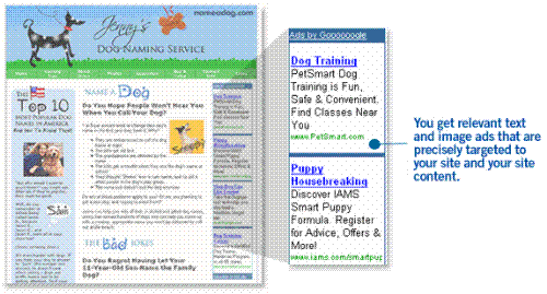 GOOGLE AdSENSE - Examples of Google Ads