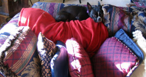 Rita - Rita is always right at home.
