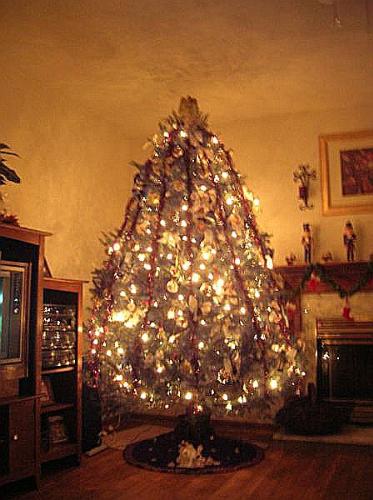 OUR 8 1/2' CHRISTMAS TREE!  - xmas Tree